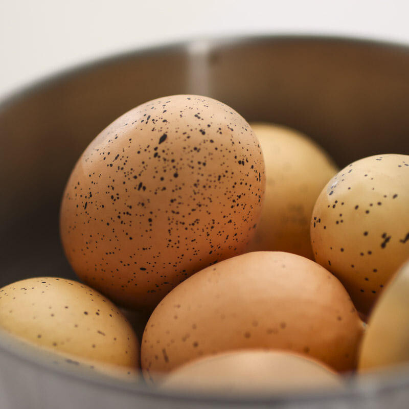 Set of 36 Assorted Sized Faux Speckled Natural Brown Colored Eggs