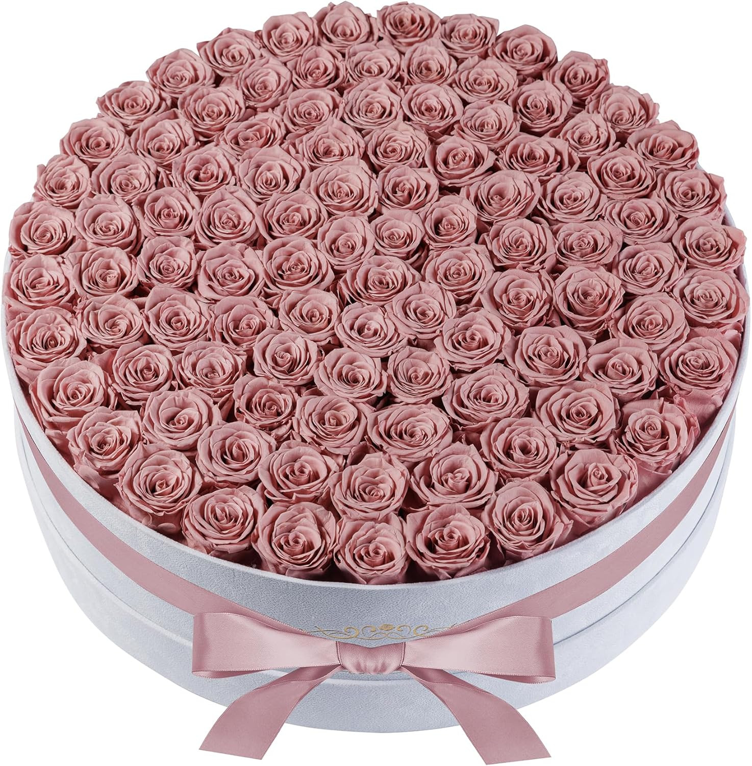 100 Dusty Rose Preserved Roses in Velvet Box – Perfect Gift for Her