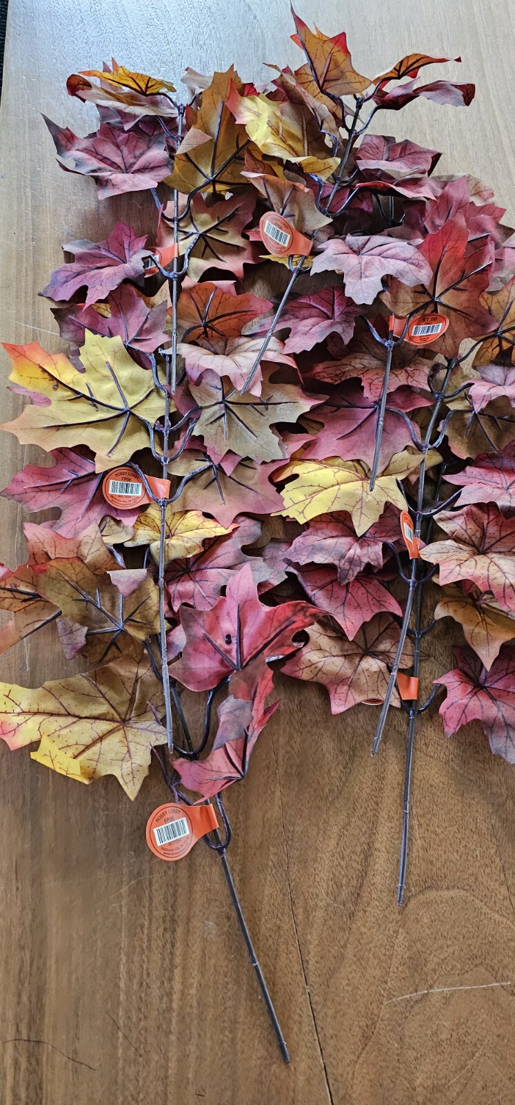 Fall Autumn Branches Stems Bundle Lot 60 BN