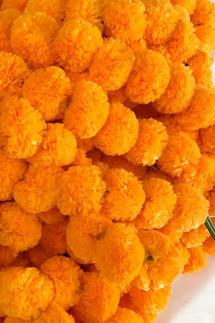 Marigold Garland, Dia De Los Muertos, Day of the Dead, Indian Wedding Diwali