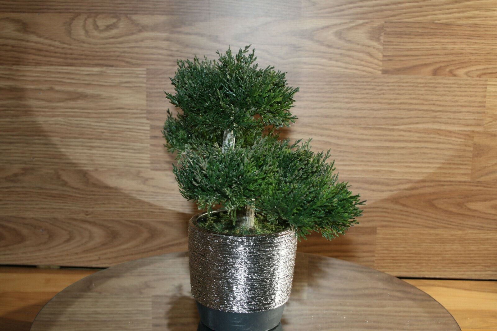 Bonsai Faux Japanese Pine Fake Tree 10x12x6″ Never Dies Cool Home Decor