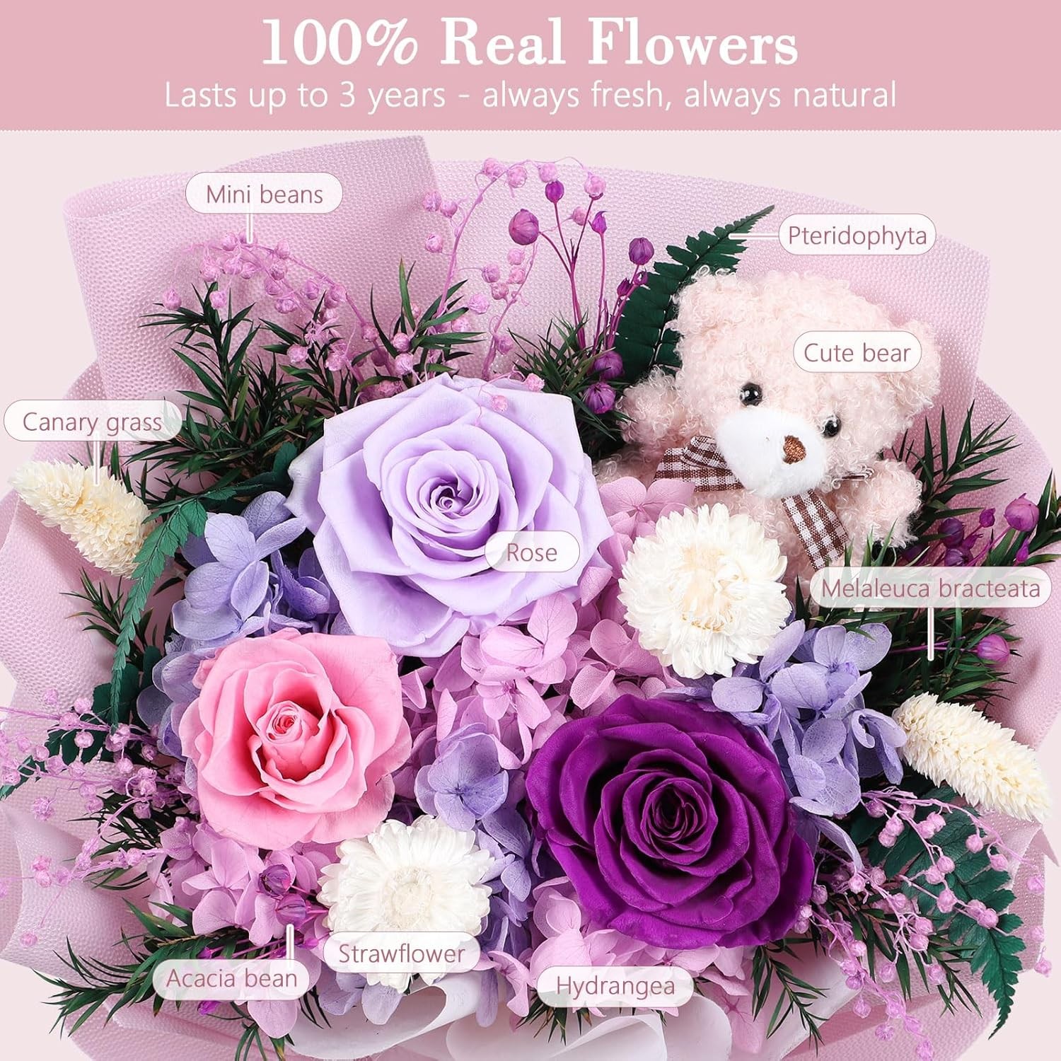 mapleway Preserved Flowers Bouquet with Bear, Long-Lasting Eteranl Flowers for D