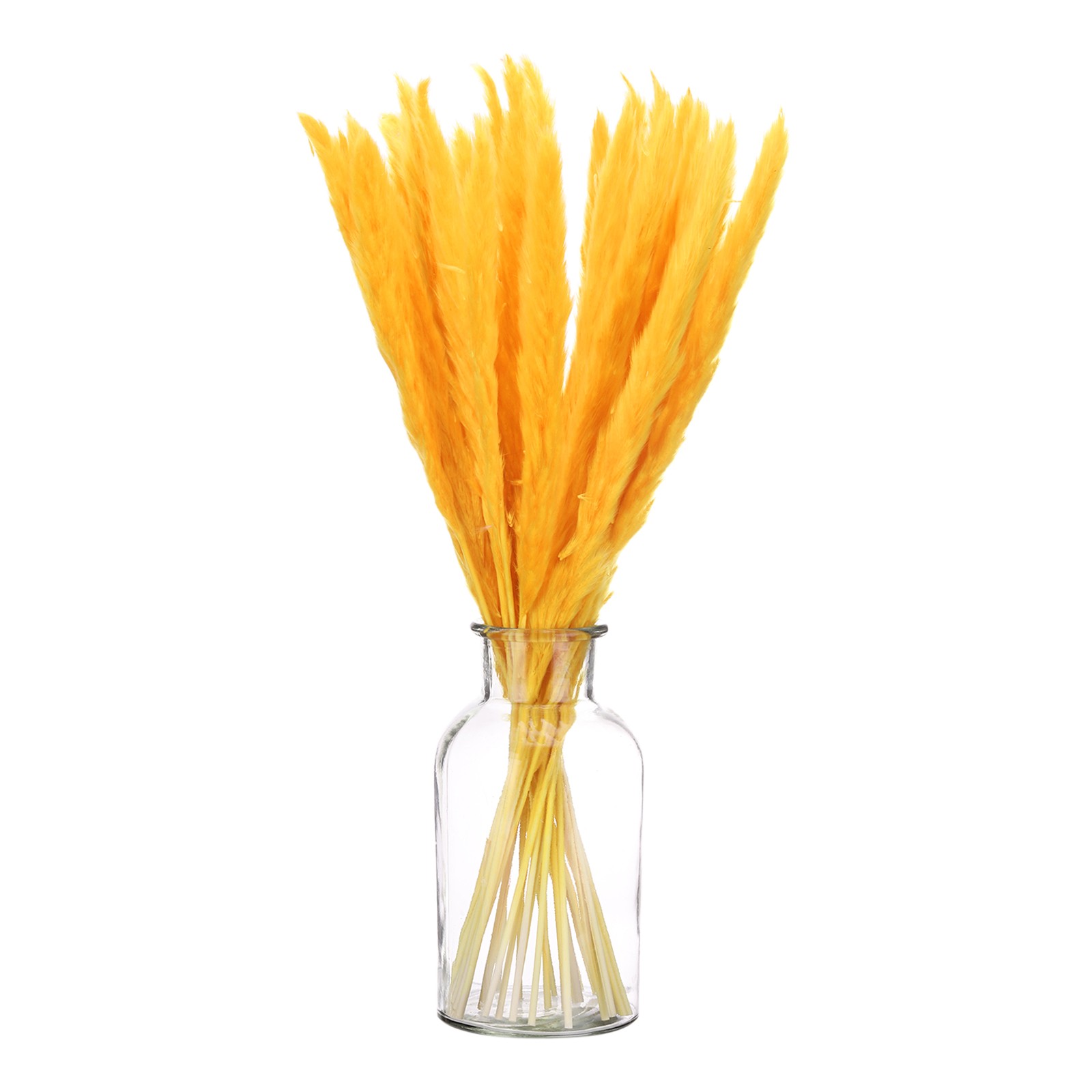 Orange Pampas Grass Decor, 30PCS 17 Inch(Length) Pampas Grass Bundle