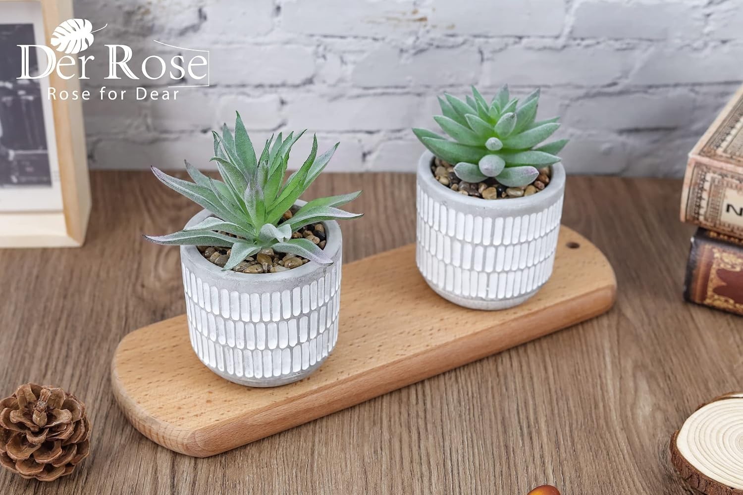 Set of 2 Succulents Plants Artificial Fake Cactus Plants for Living Room Bath…