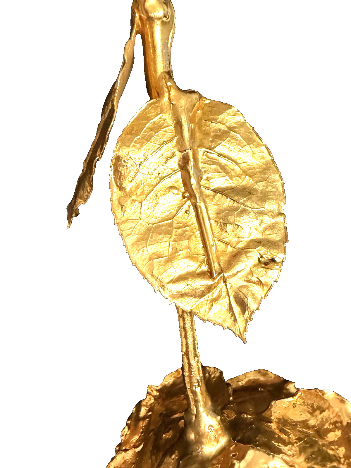 Real Natural Rose Flower Coated Preserved And Dipped In Gold