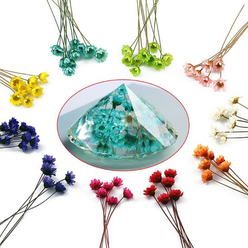 1 Pack Real Pressed Dried Flowers For Art Craft Resin Pendant Jewellery Making