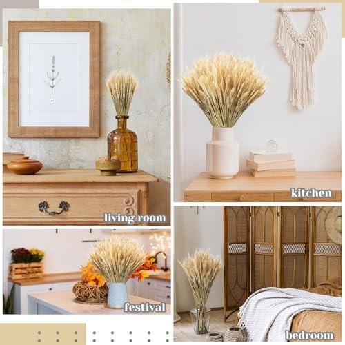 Dried Wheat Stalks Bundle – 1600 Stems Natural Decor for DIY Weddings, Home Cent