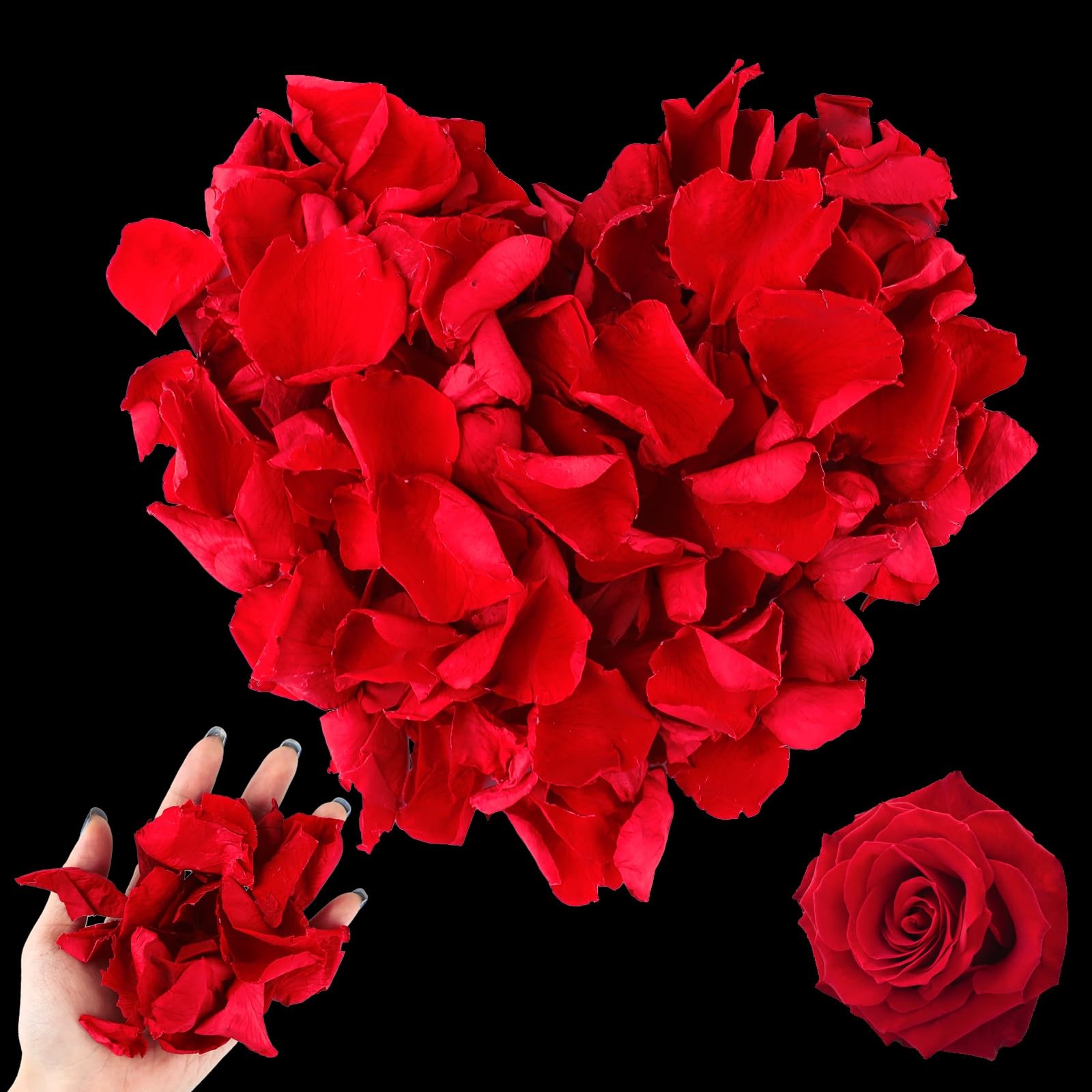 100g 3.5oz Real Red Dried Rose Petals Freeze Preserved Confetti Valentine