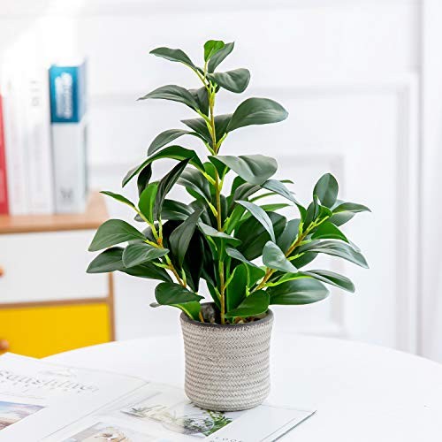 16 inch Artificial Indoor Plants Office Desk Faux Plant Peperomia Ficus Plant