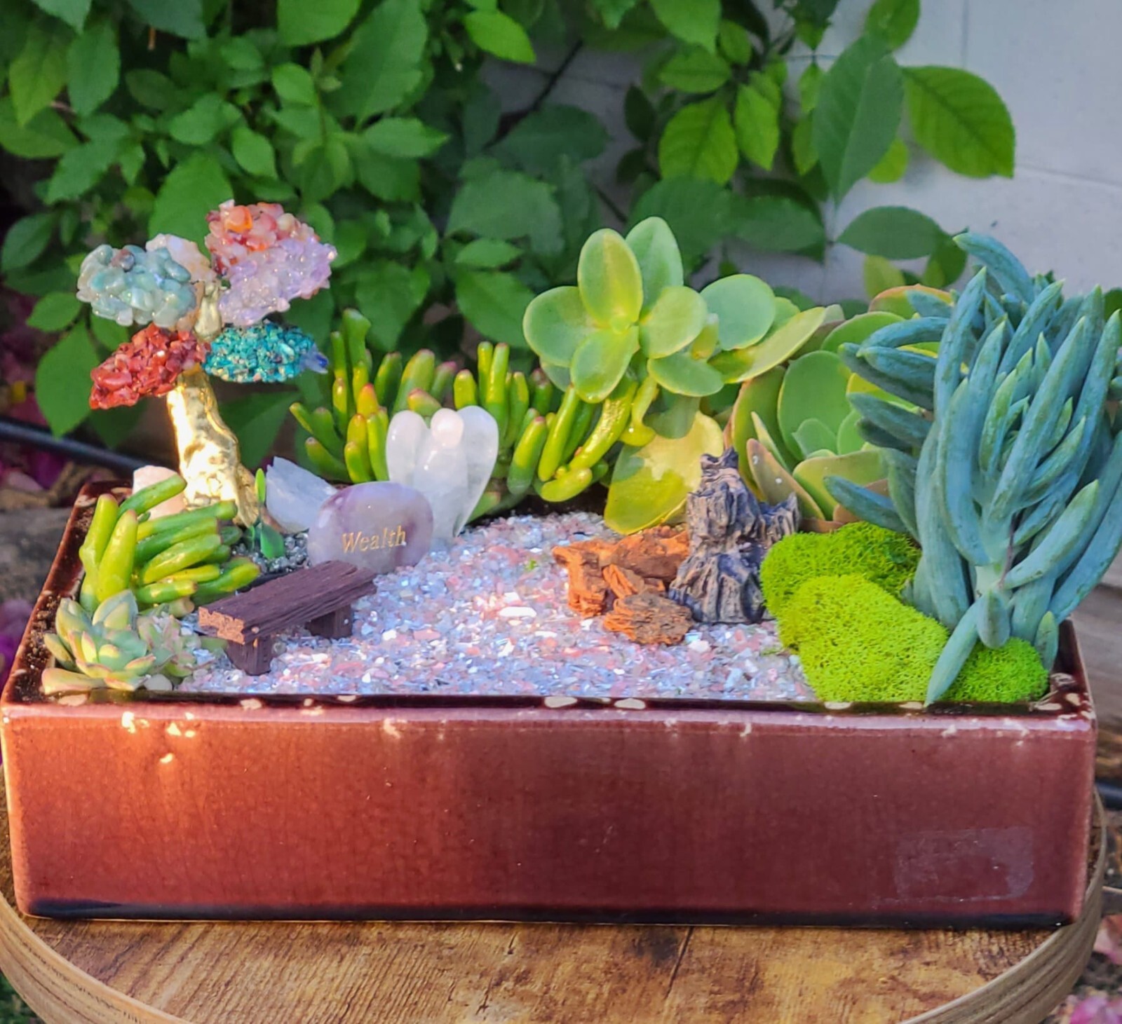 Mini Zen Garden with Natural Succulents + crystals for the Interior of the Home