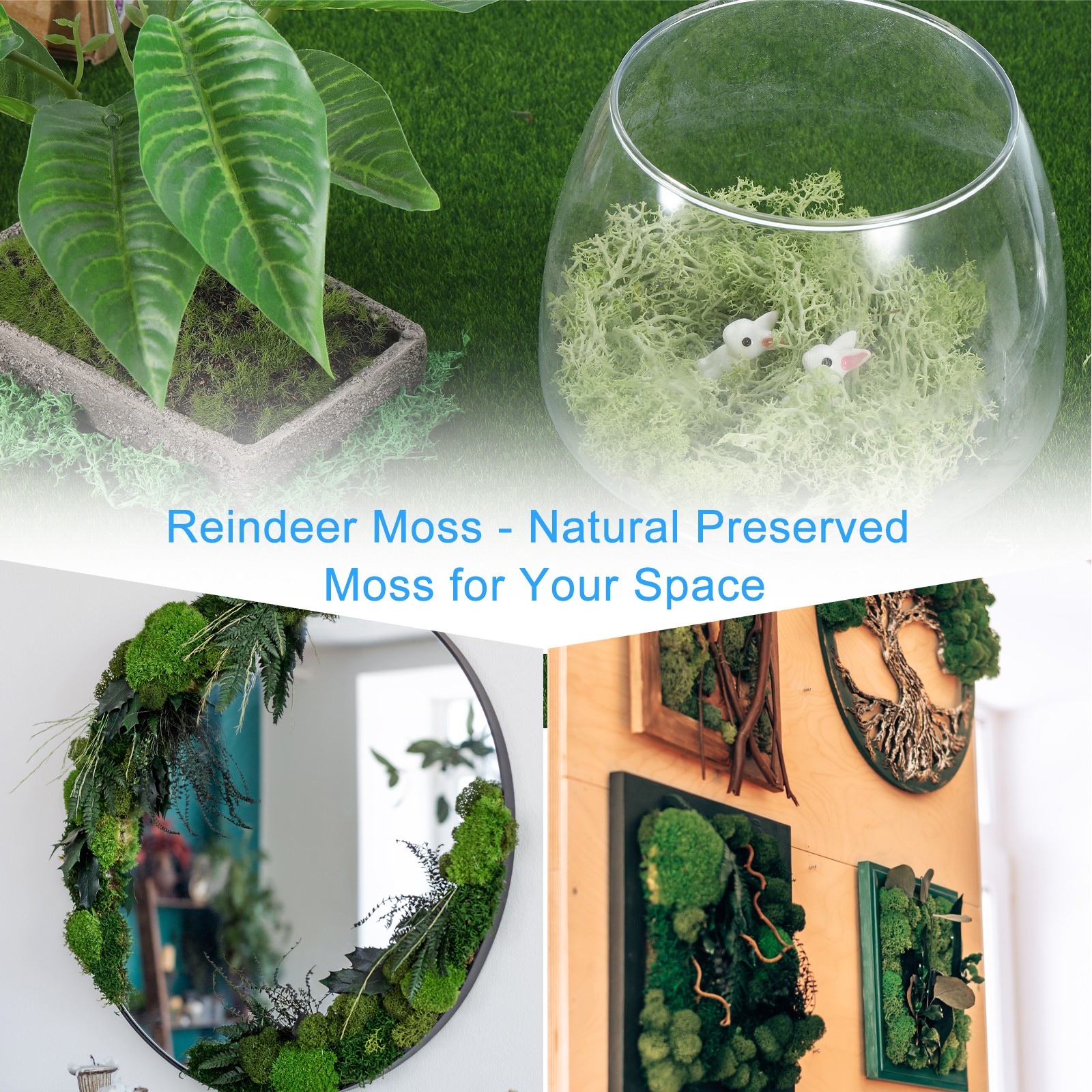 3pcs 1.26 OZ Moss Fake Craft Moss Artificial Moss Natural Moss (Red)