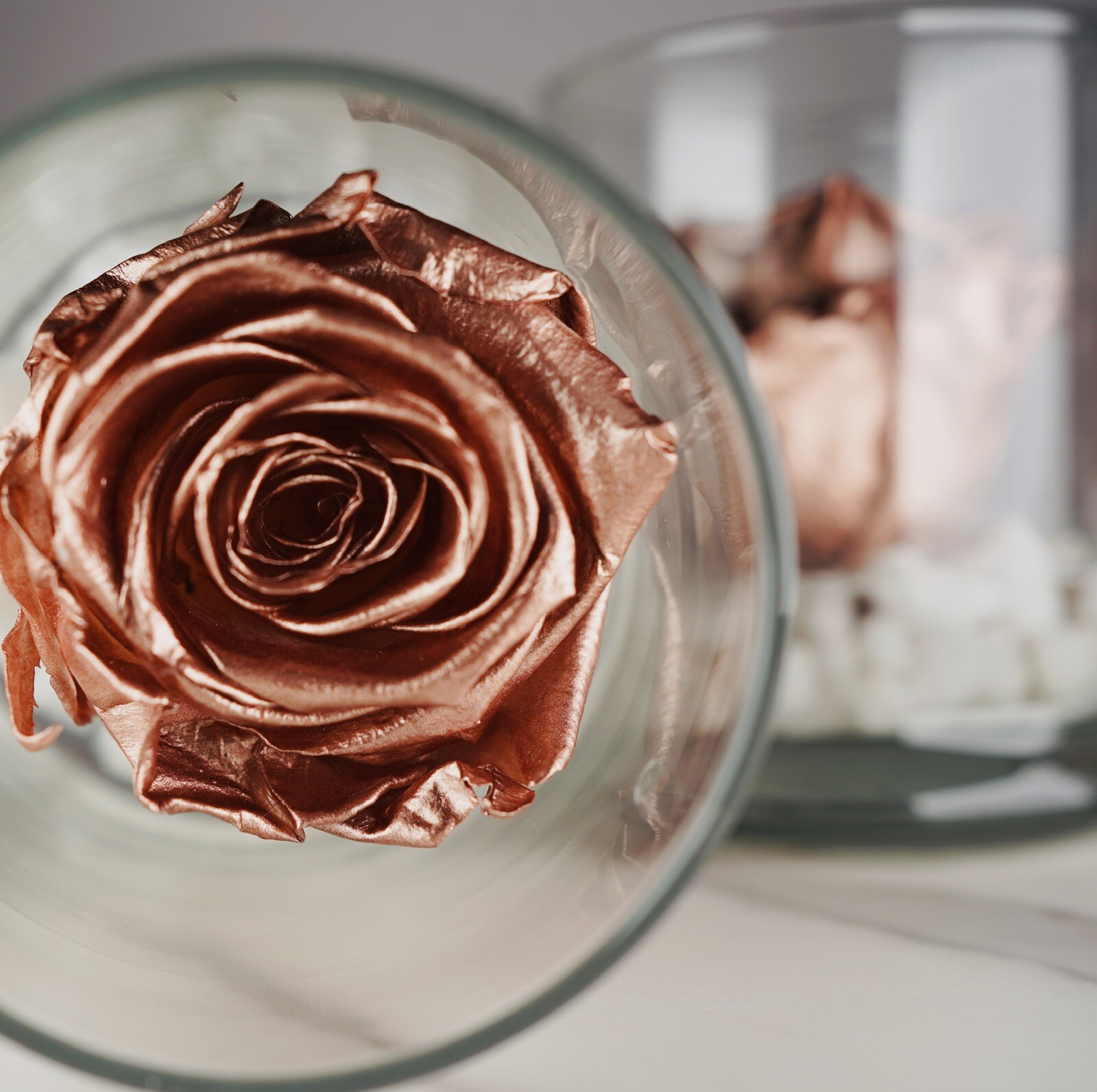 Real Rose Gift in Glass Jar Base White Stones Metallic Rose Gold Gift For Gf