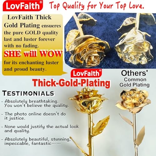 LovFaith Real Rose Dipped 24K Gold, with Crystal Vase, Gift for Her mom Wife