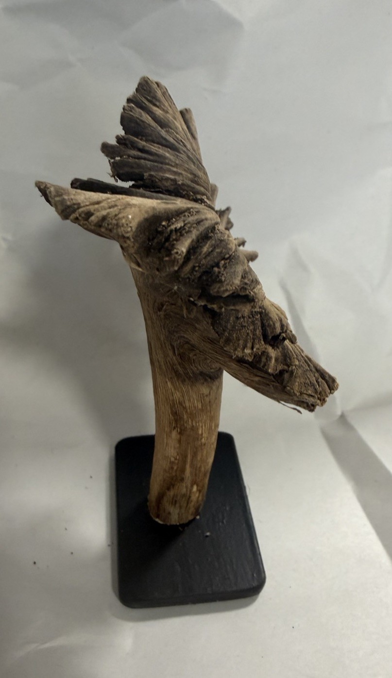 Rare Guatemala Wooden Tree Flower / Tree Ear on Iron Stand.