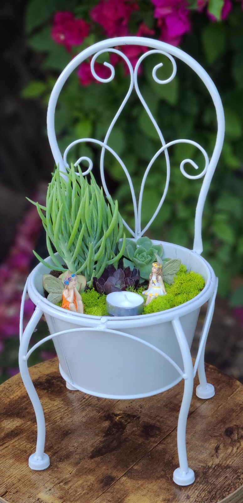 Mini Zen Garden with Natural Succulents + crystals for the Interior of the Home