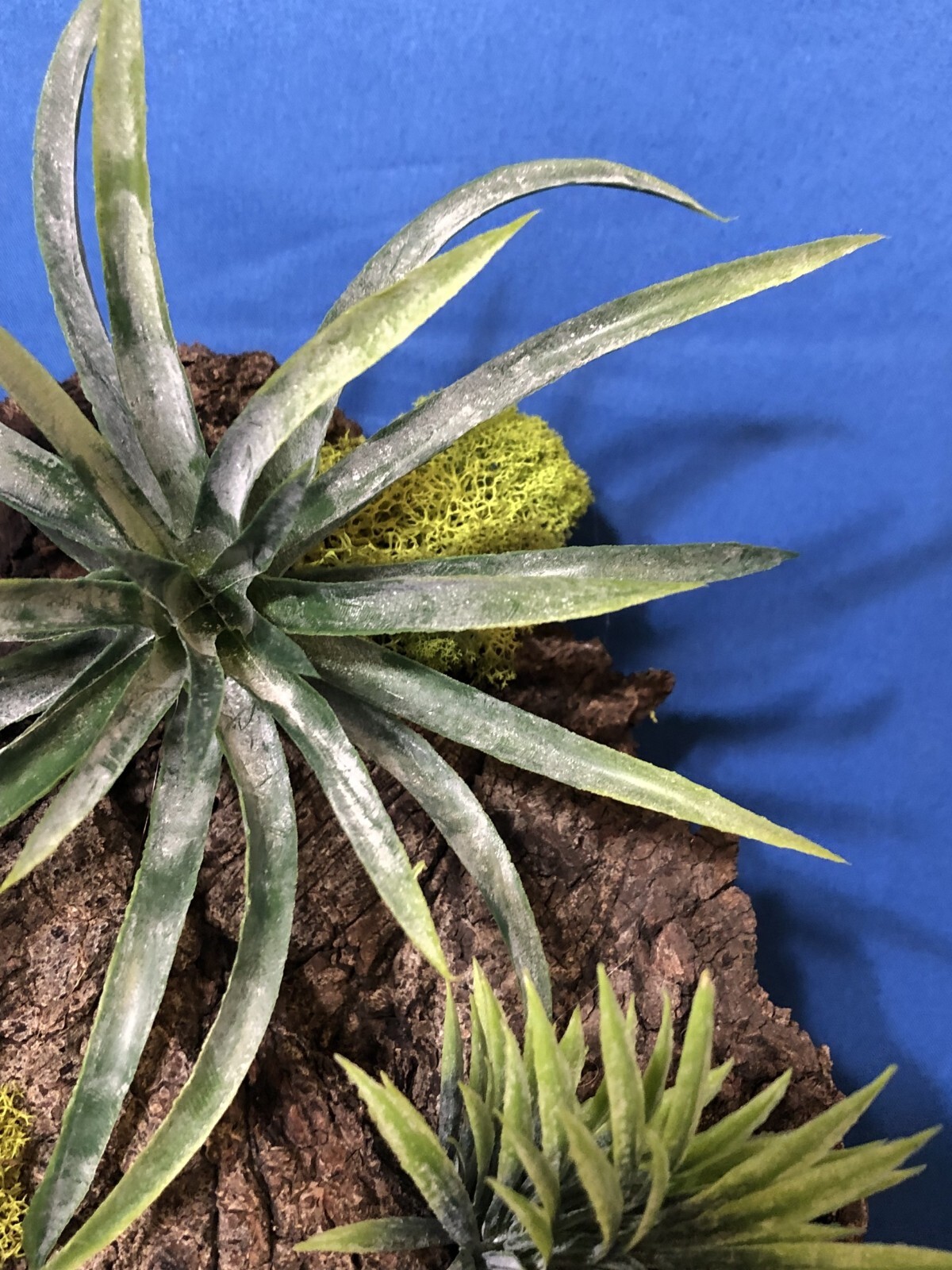Artificial Succulent Air Plant Wall Art Home Office Mounted on Real Wood Bark