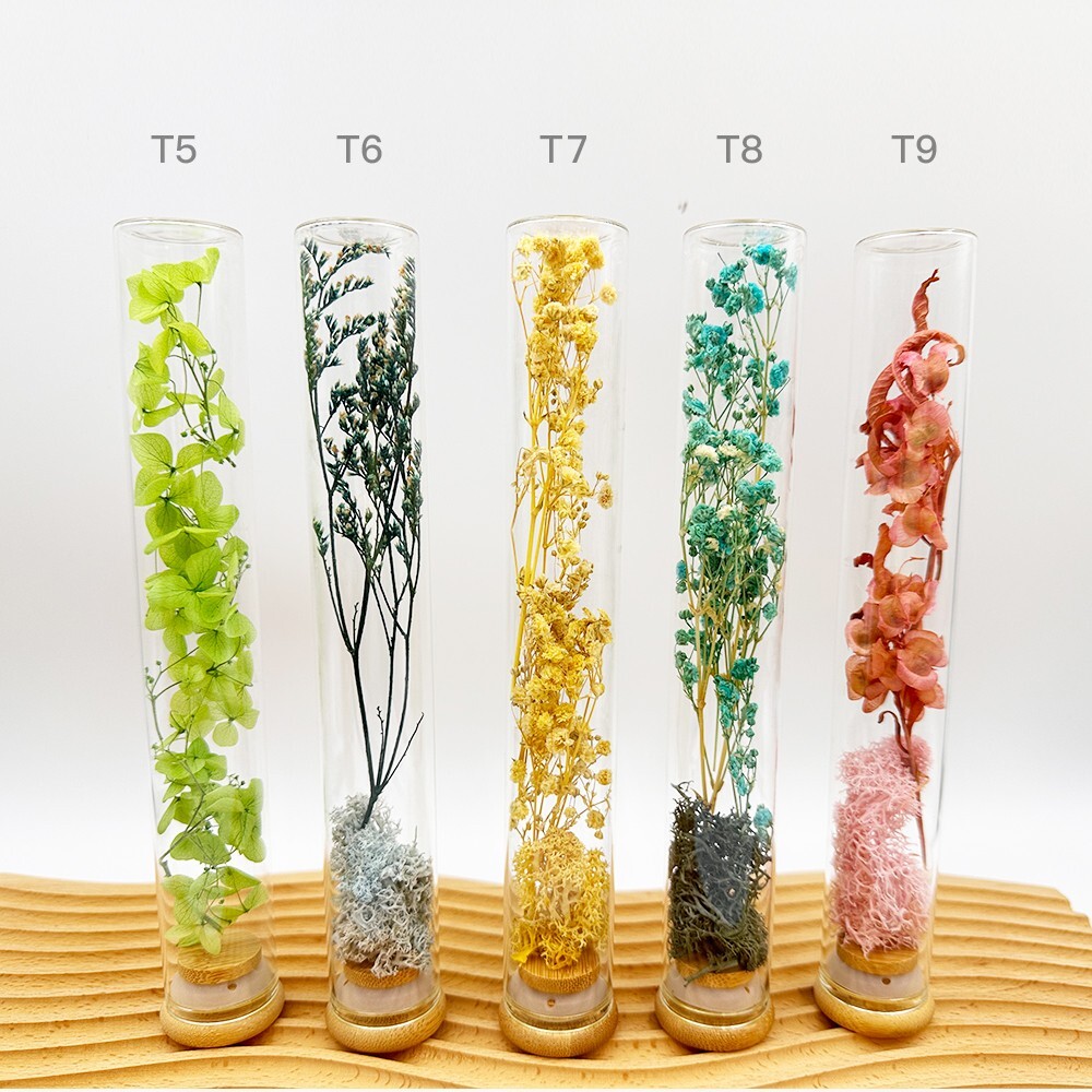 Plant specimens handmade test tube dried flowers immortal flowers holiday birthd