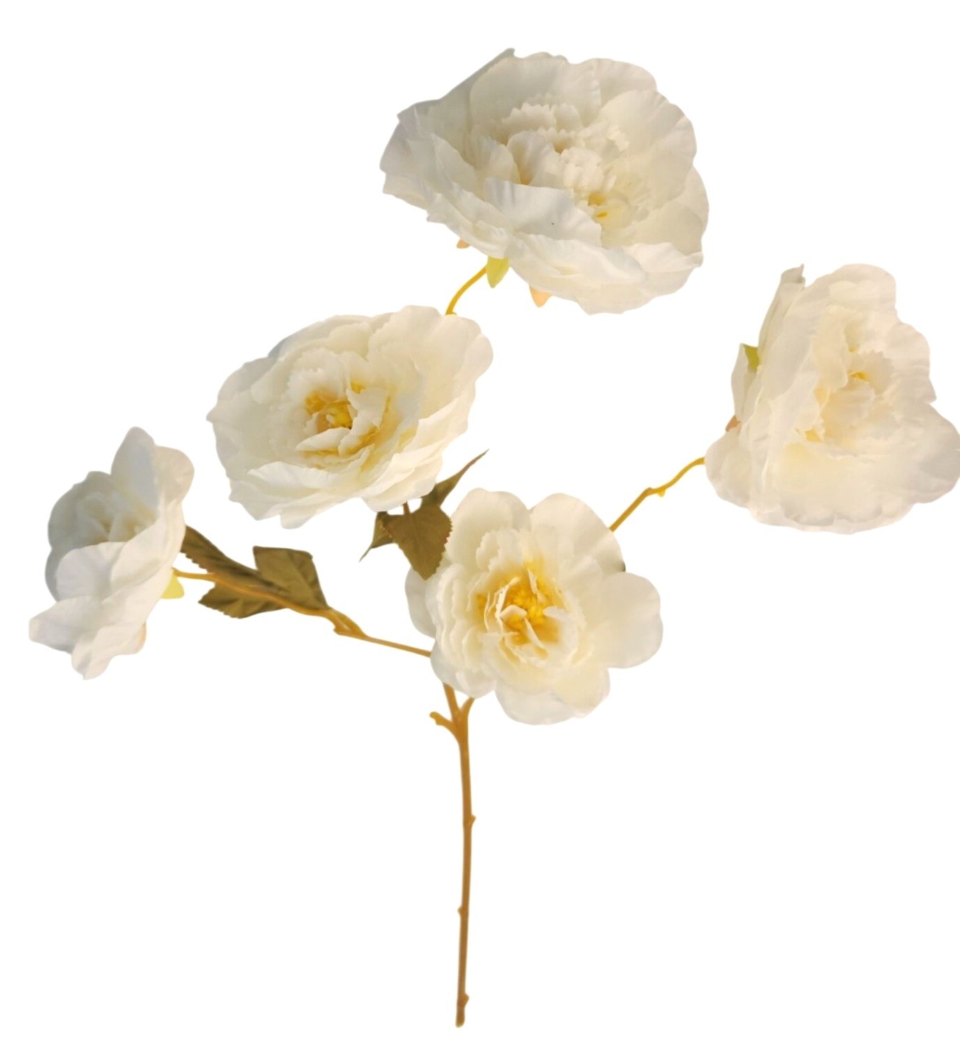 Cream Ranunculus Stems, Faux Ranunculus Flowers, Artificial Flowers, Ivory Flora
