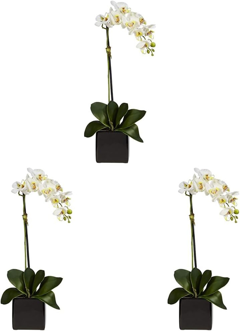 Set of 3 20″ White Orchid Arrangements in Elegant Black Planters