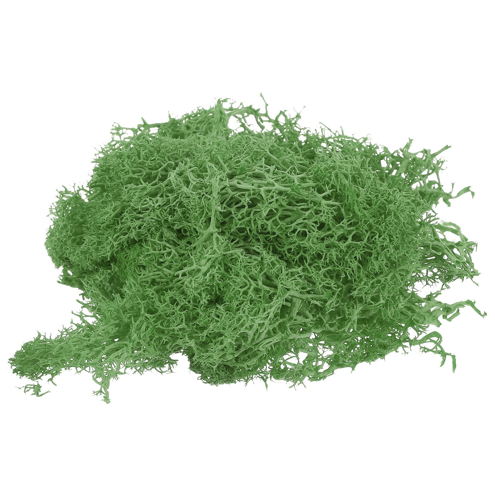 7 OZ Fake Moss, Preserved Decorative Moss with Box for Potted Plants, Green