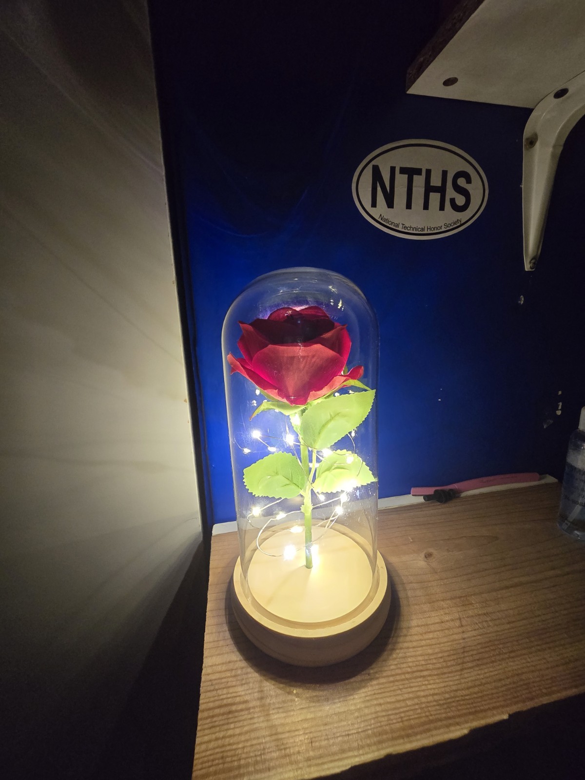 Eternal Red Rose Flower in Glass Dome with LED Lights Floral Decor