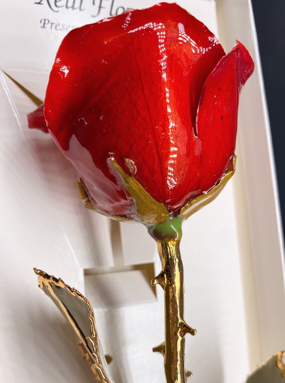 New Real Rose 24k Gold Hand Dipped Classic All Red Open Flower In White Gift Box