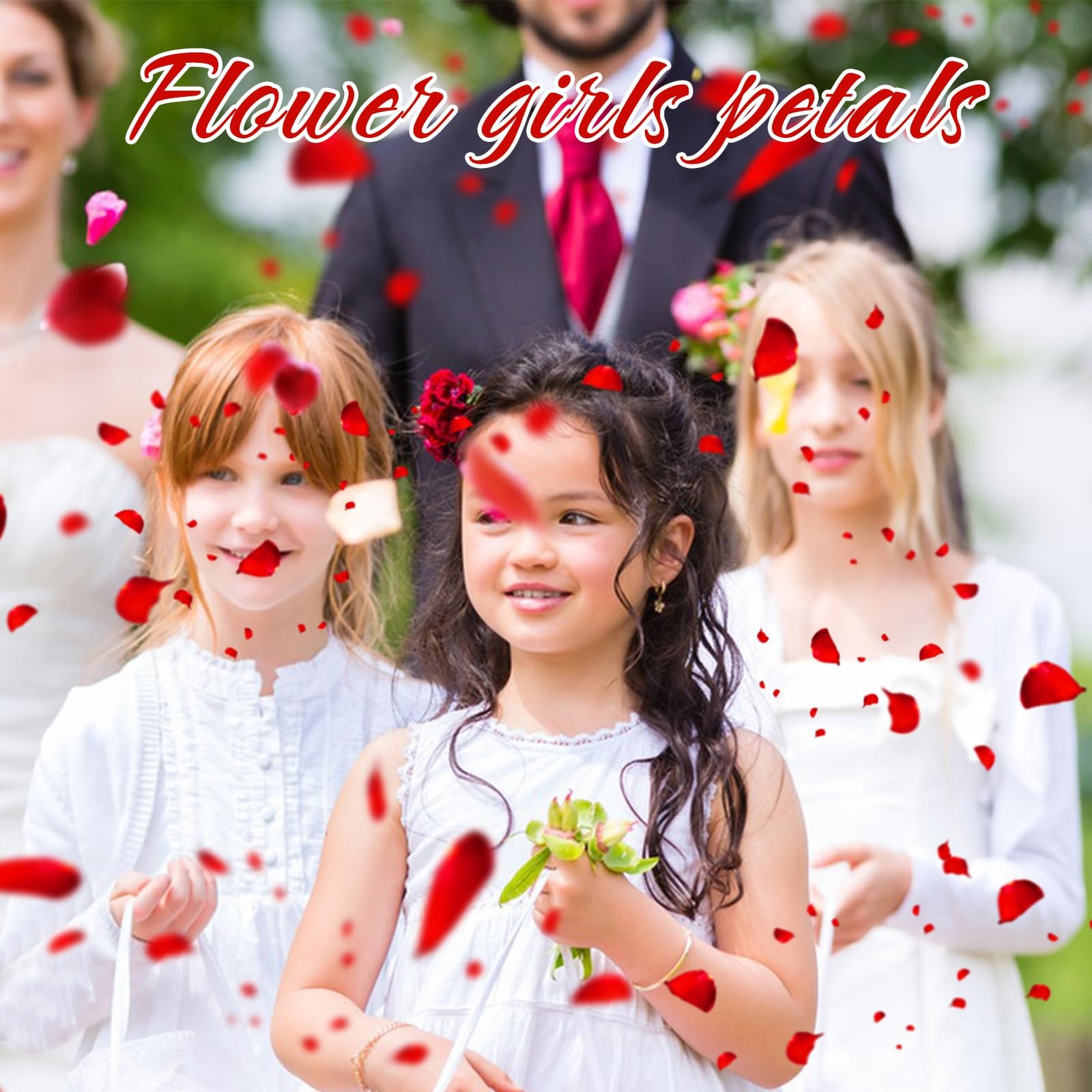 100g 3.5oz Real Red Dried Rose Petals Freeze Preserved Confetti Valentine