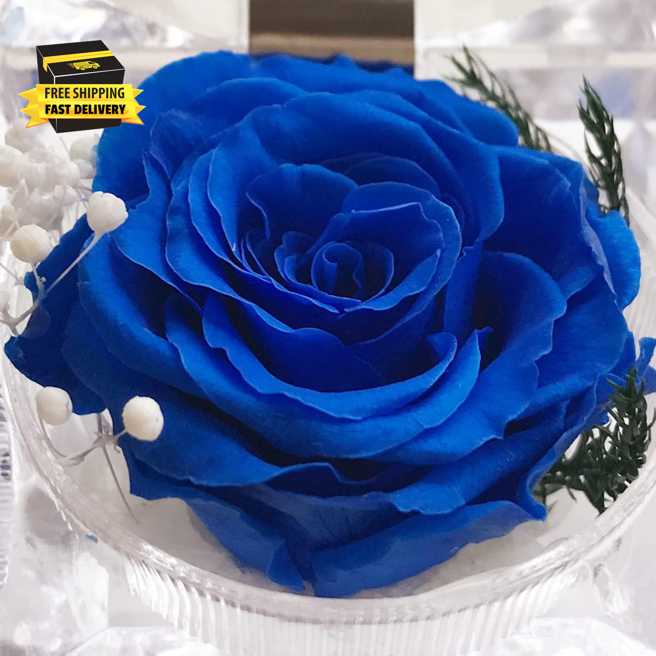 Preserved Rose Real Forever Rose in Mini Clear Ring Box, Eternal Flower Rose Gif