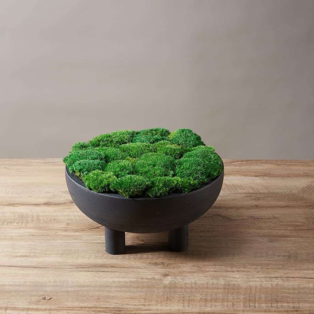Real Natural Preserved Pole Moss Pillow Bun Cushion Green Decorative 1.5 Sq Ft