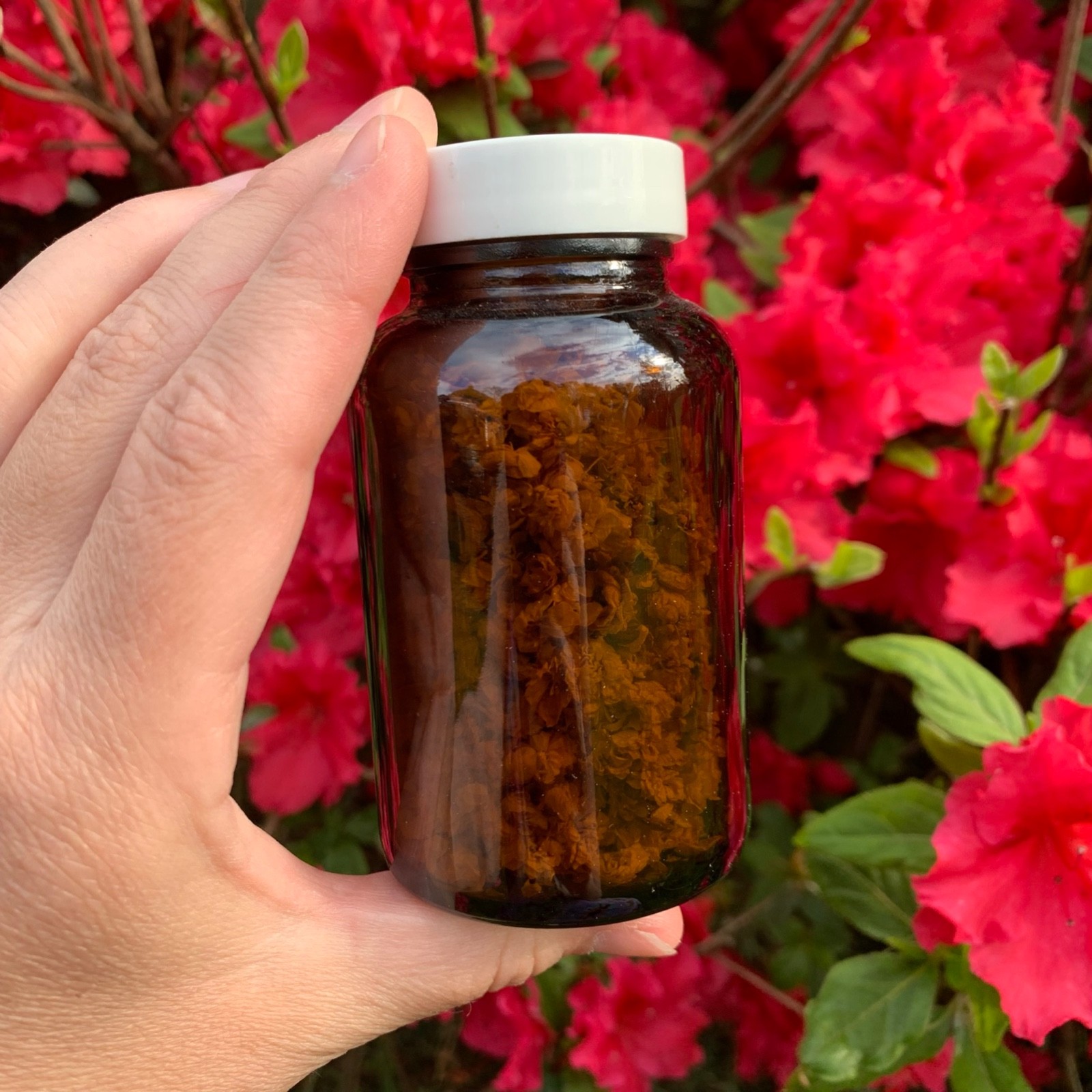 Handmade Floral Decor Centerpiece Amber Glass Bottle Dried Flowers Cottagecore