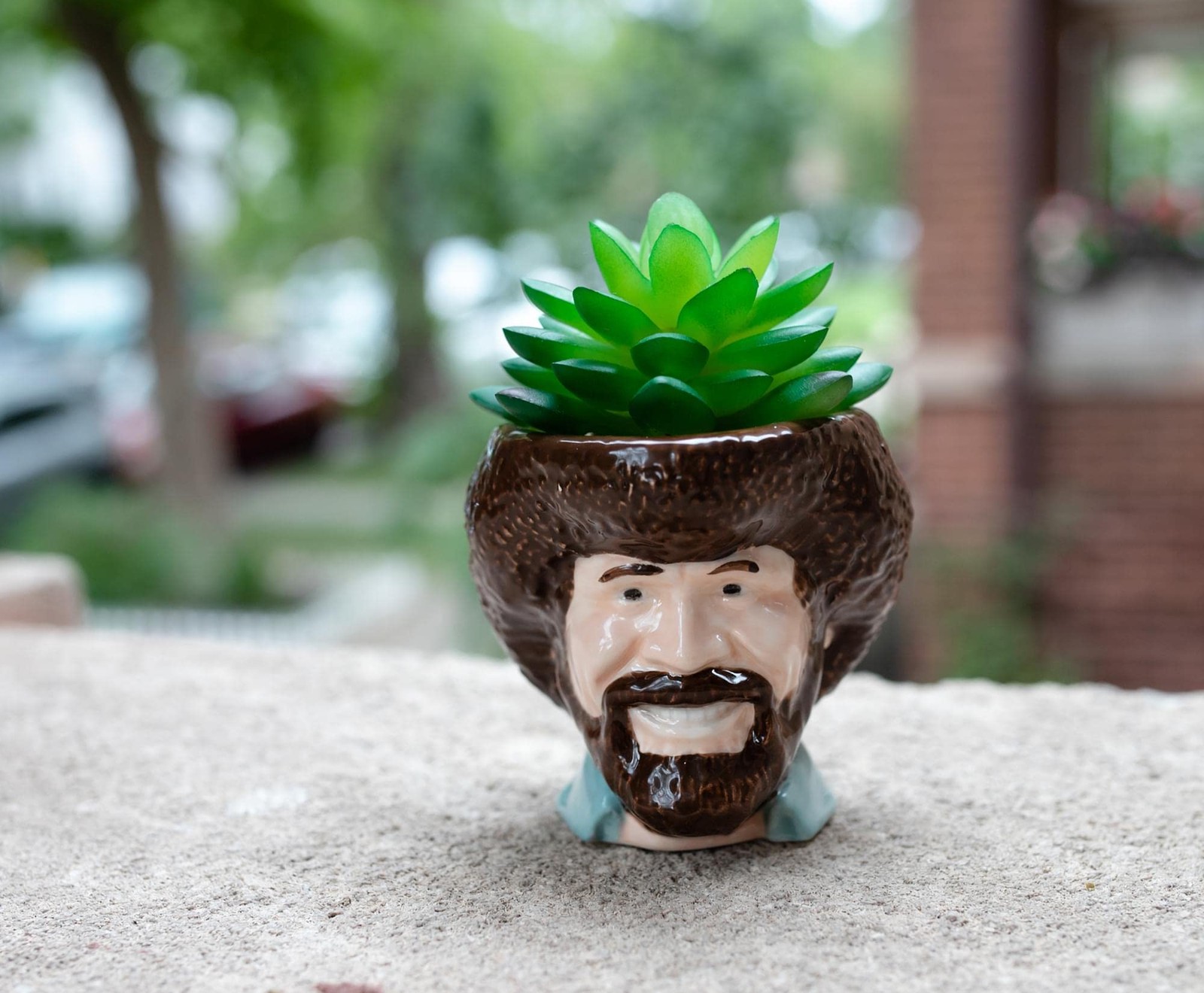 Toynk Bob Ross Mini Ceramic Planter with Artificial Succulent | Small Flower …
