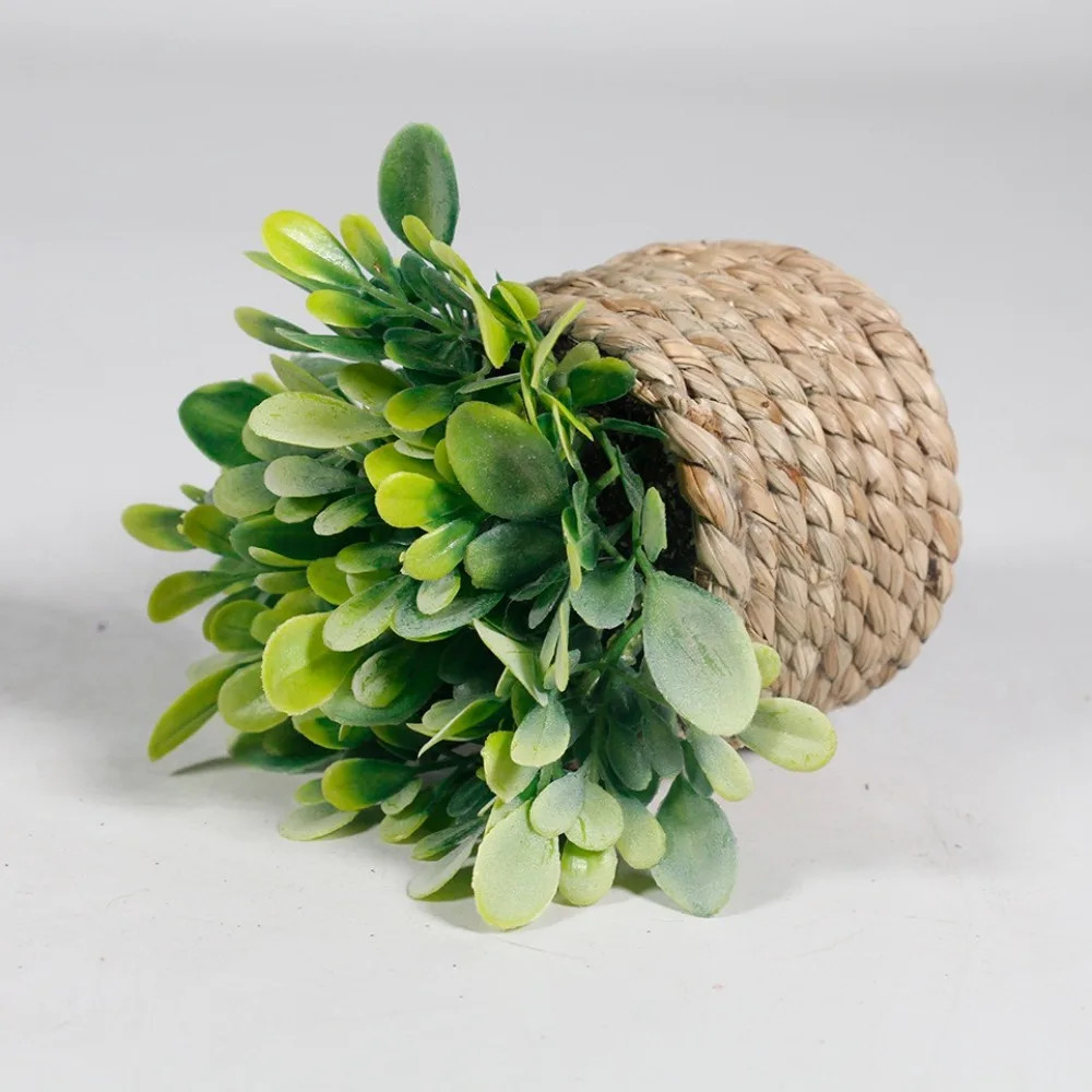 Green Artificial Potted Plant Eucalyptus Grass 11cm Artificial Plants Plastic