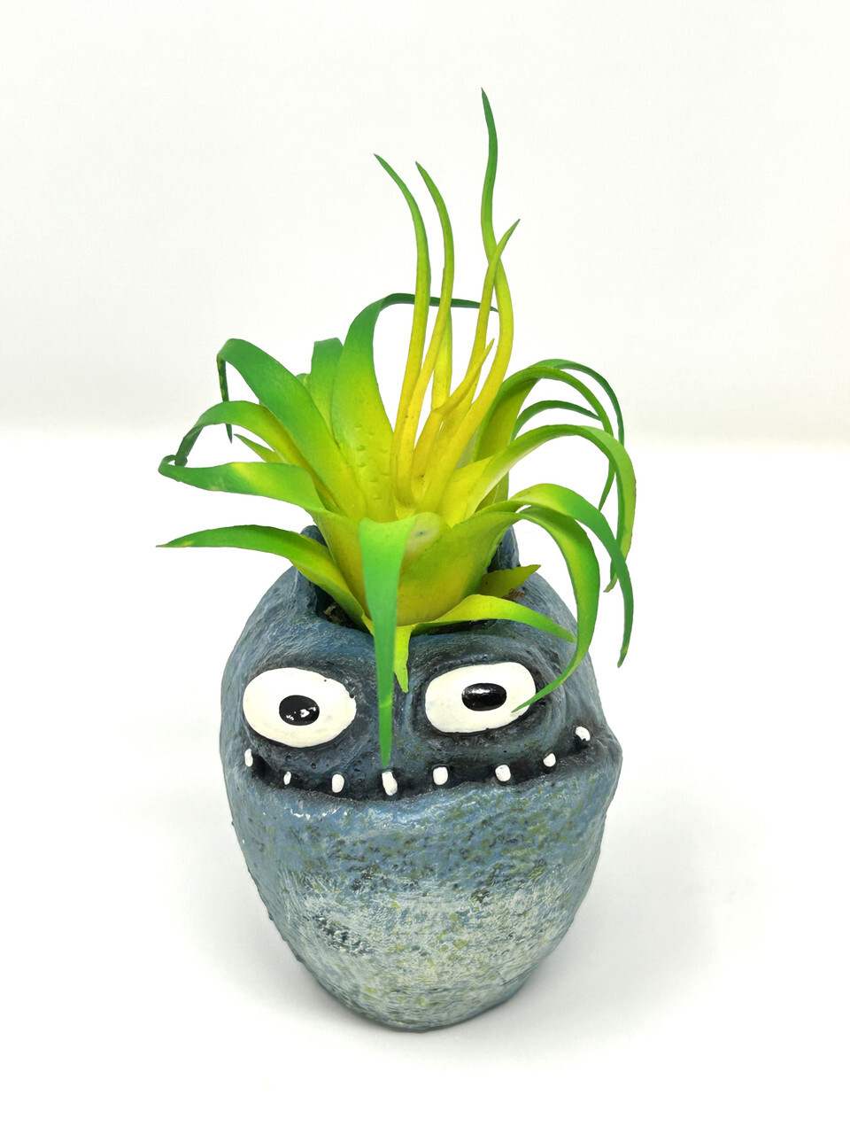 4.5 in. Potted Blue Monster MURPHY Blob House Mini pot WITH faux Harrisii Air pl