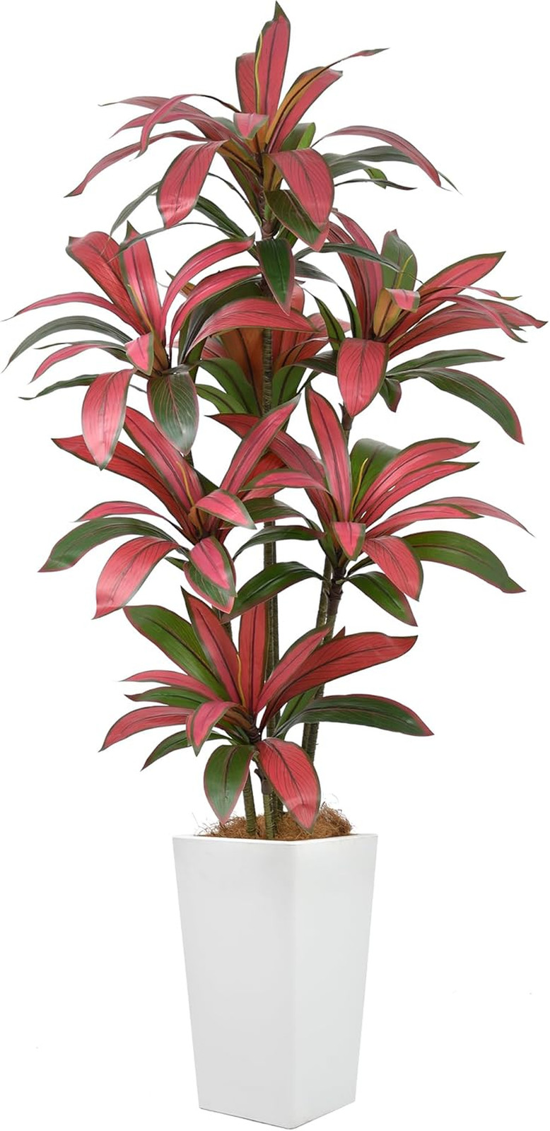 6Ft Artificial Dracaena Tree in White Planter – Faux Silk Indoor/Outdoor Decor