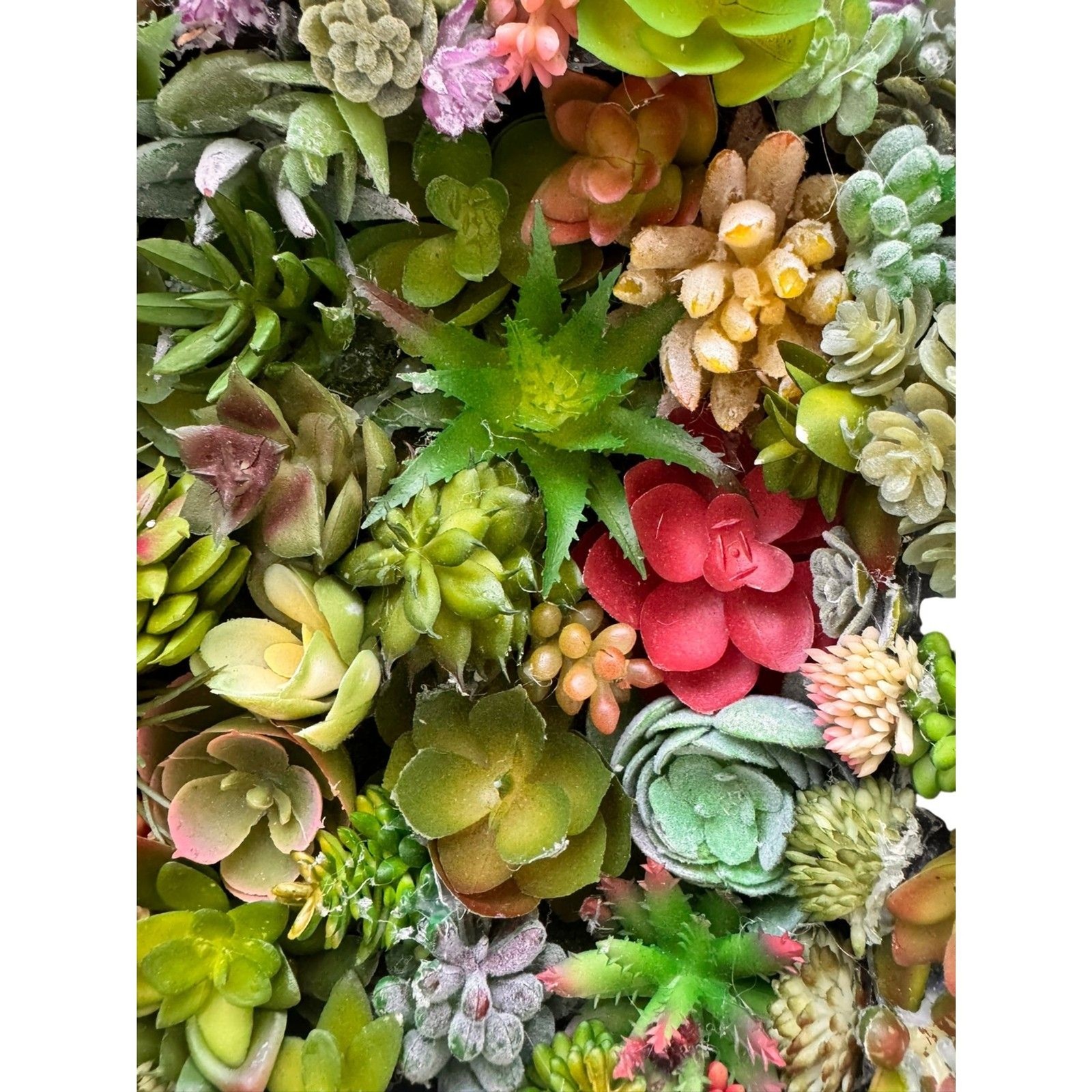 Succulent Wall Art Boho Faux Botanical Decor 8x8x2