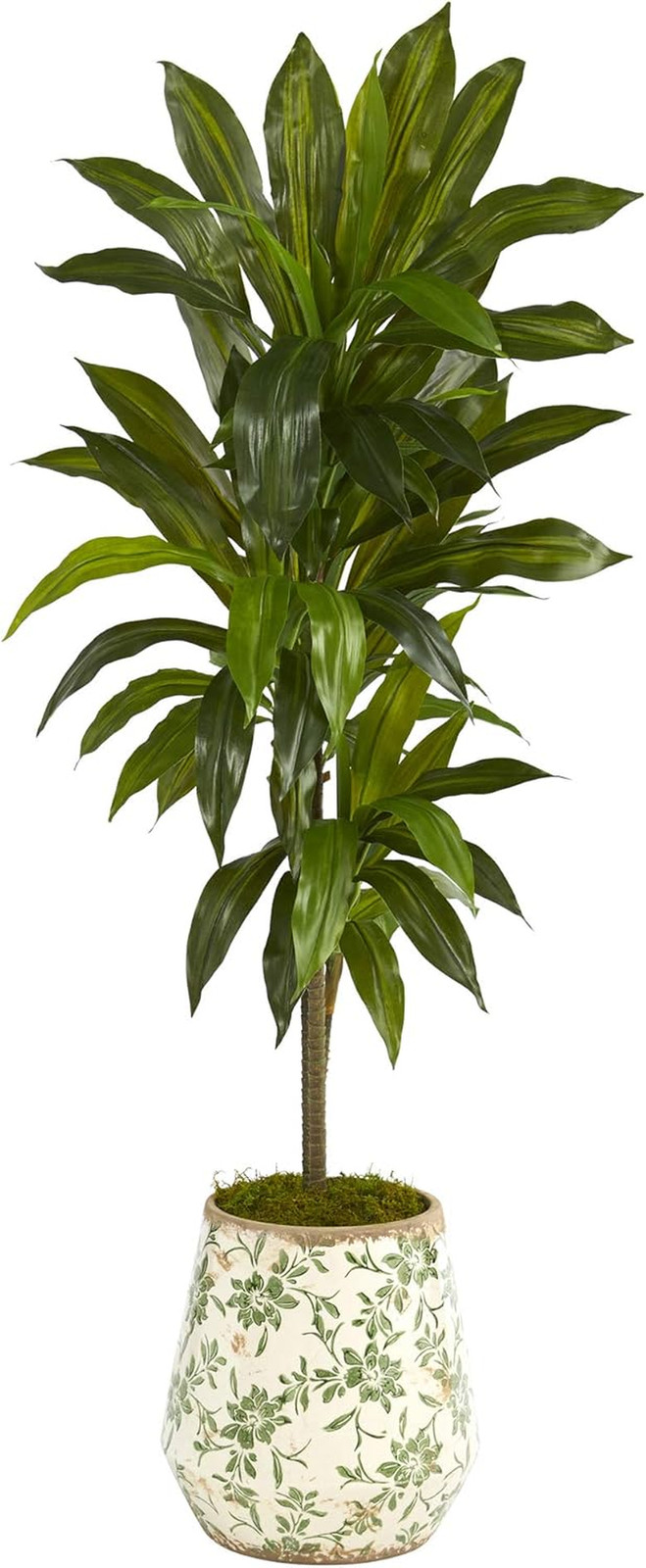Real Touch 4Ft Dracaena Plant in Stylish Flower Print Planter