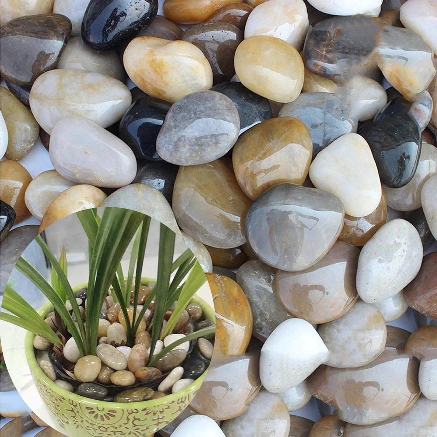 3 lb River Rocks for Succulent Plants,Decorative Rocks Bonsai Garden Pebbles,Aqu