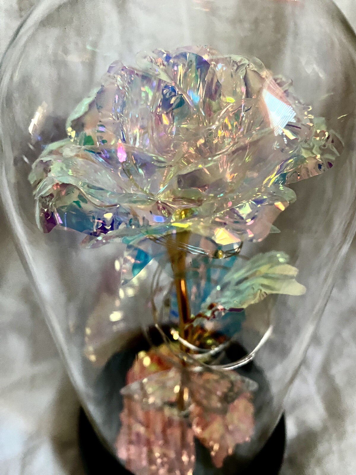 Eternal Rose In Dome With Fairy Lights Batteries Included Best Wishes Boxed Gift