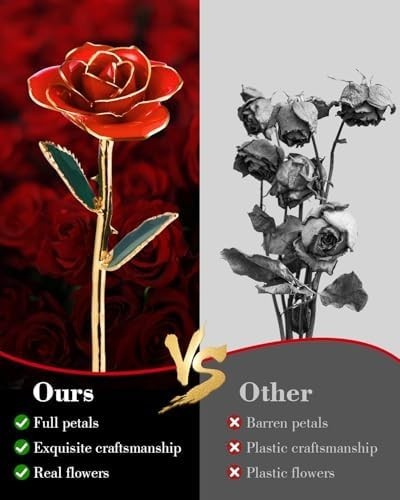 24K Gold Dipped Real Rose with Stand – Forever Gift for Her, Red