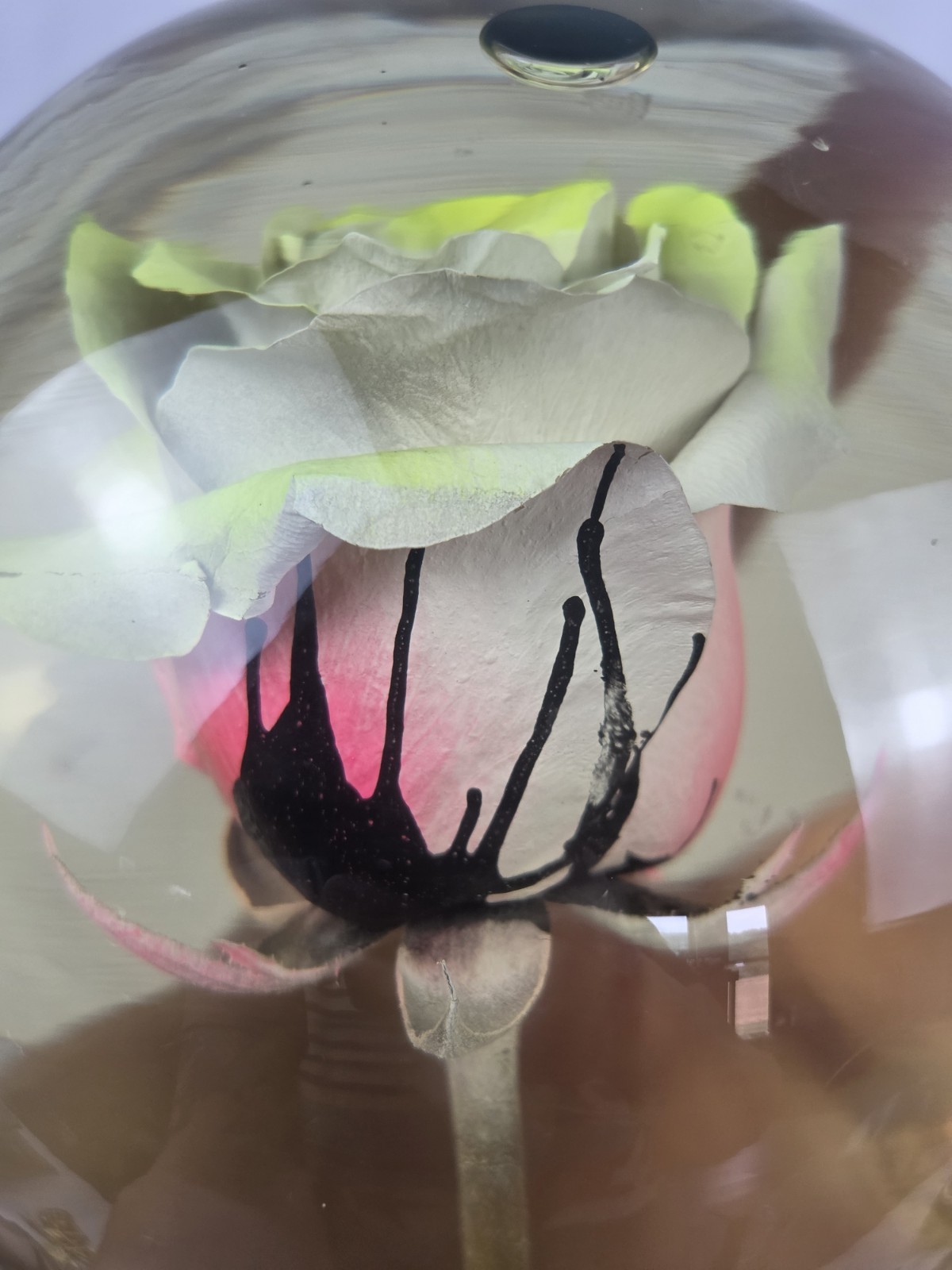 Vintage Forever Yellow/Pink Rose In Glass Ball Water Dome Globe Large 6.5″
