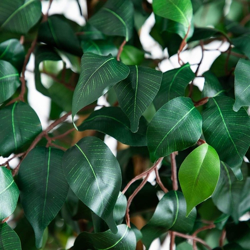Lifelike Ficus Artificial Tree Maintenance Free Indoor Decor Versatile Accent US