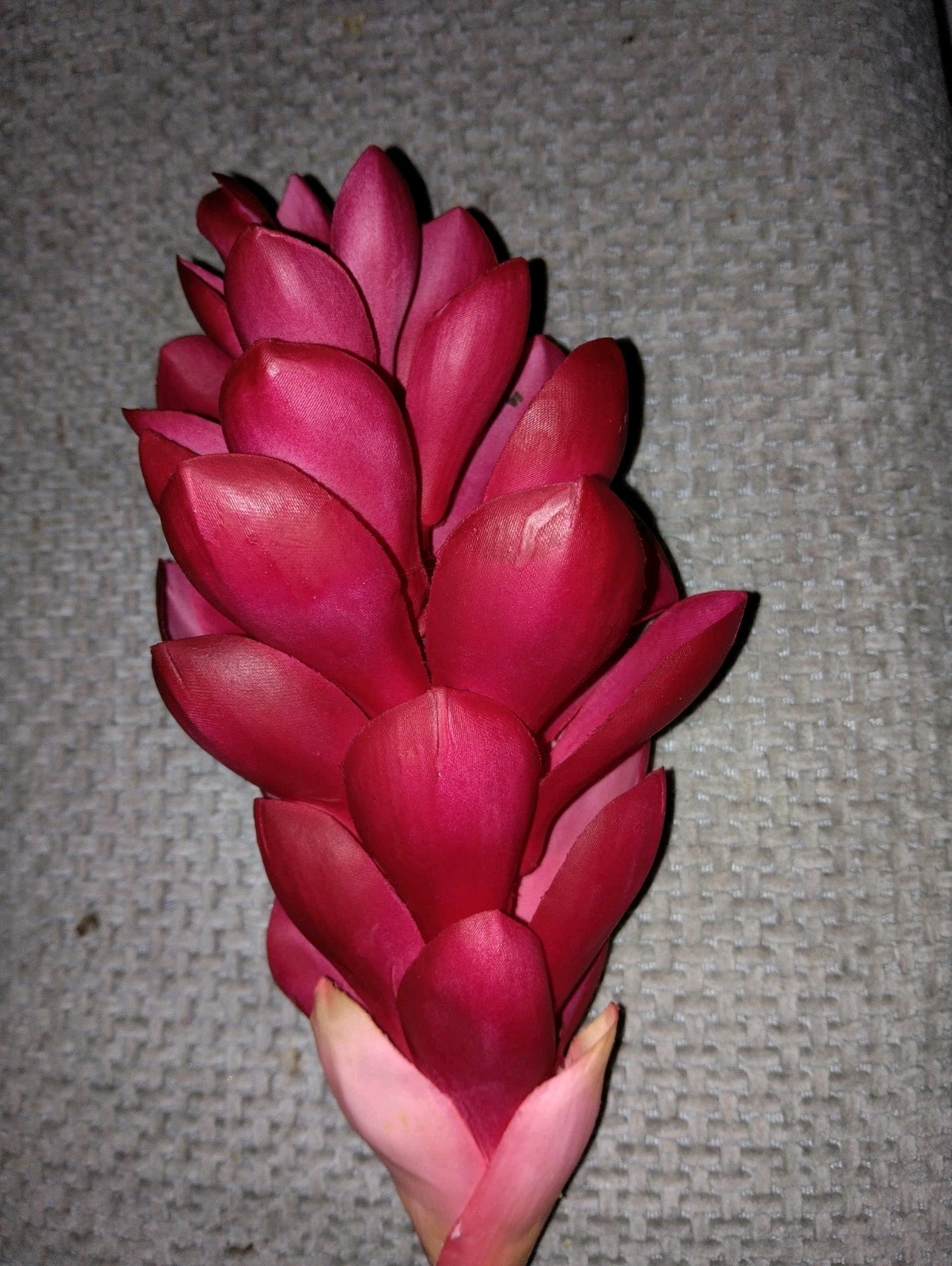 Ginger lily stem. Silk arrangements tropical Hawaiian flowers CRANBERRY