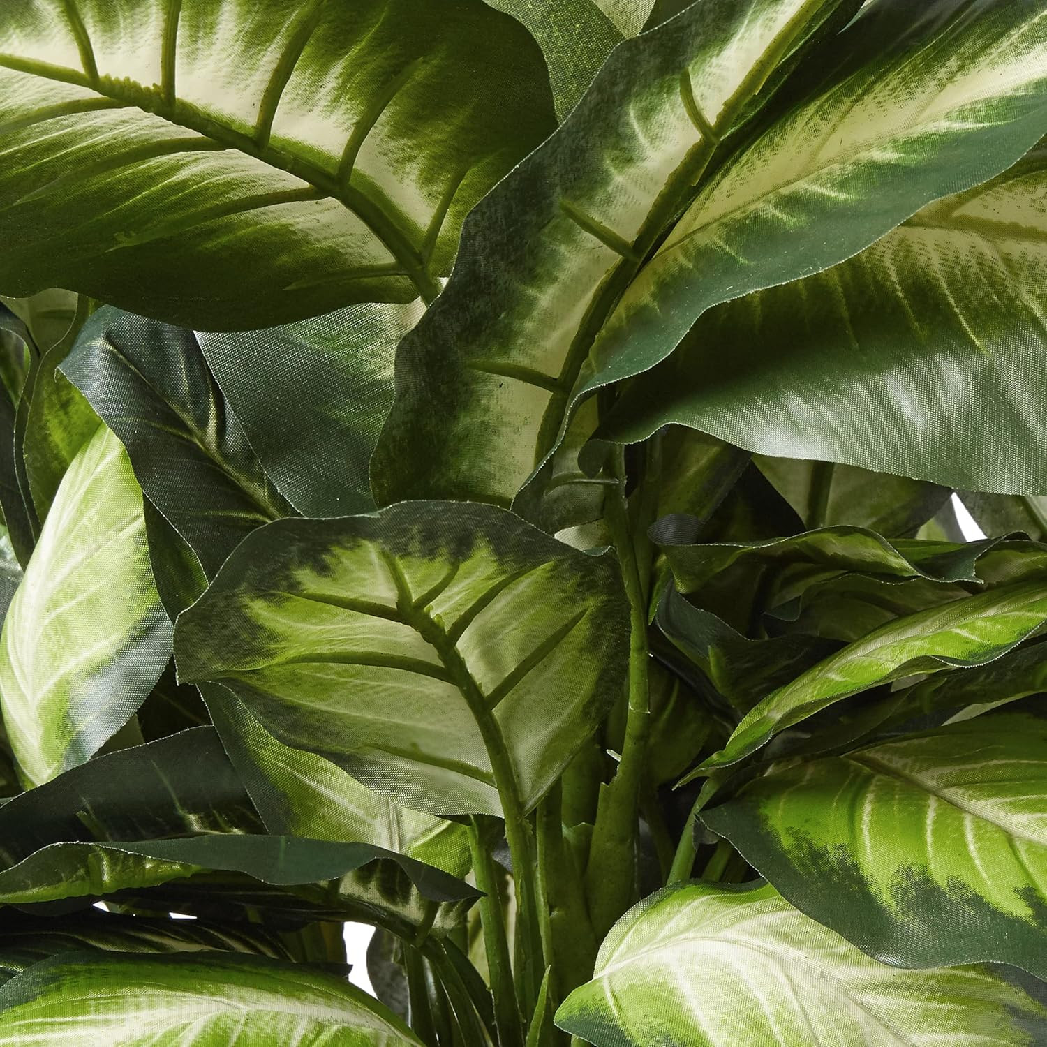 22″ Faux Triple Golden Dieffenbachia Plant in Decorative Wood Planter