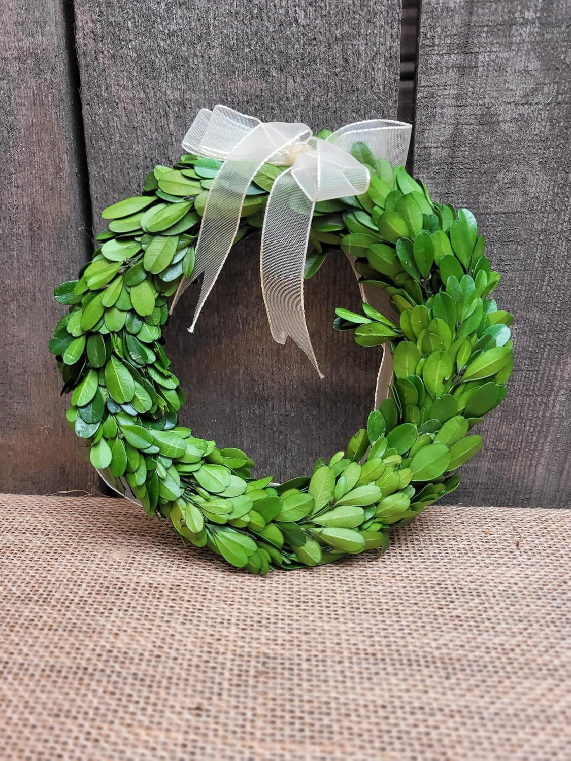 Preserved Boxwood Wreath 6 In