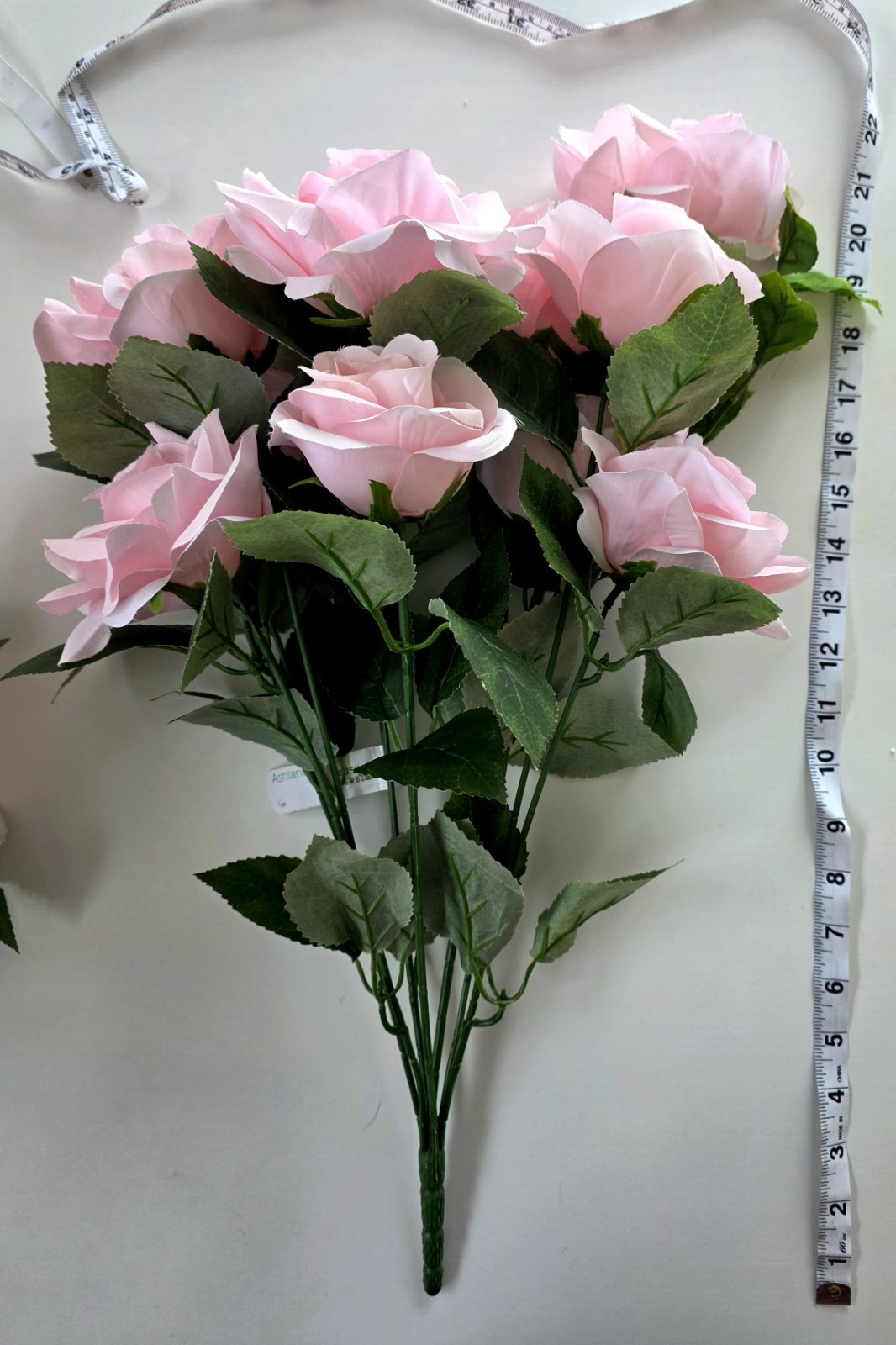 Ashland Rose Bush *Preowned, Gorgeous*
