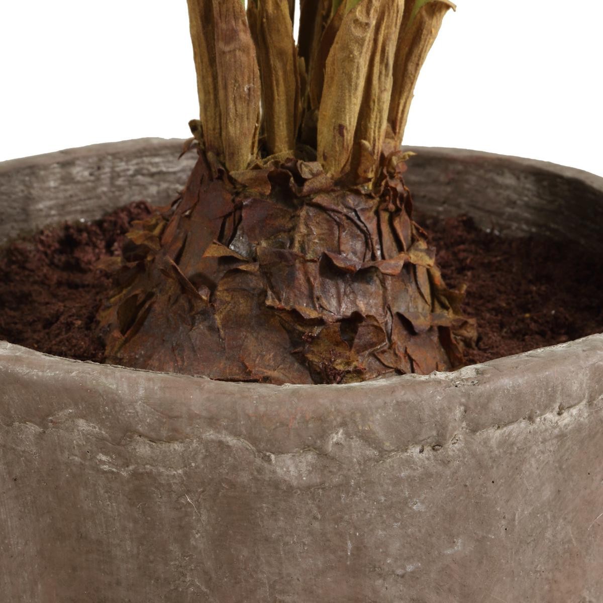 Uttermost 60243 Zamia Green and Concrete Palm Acccent Planter