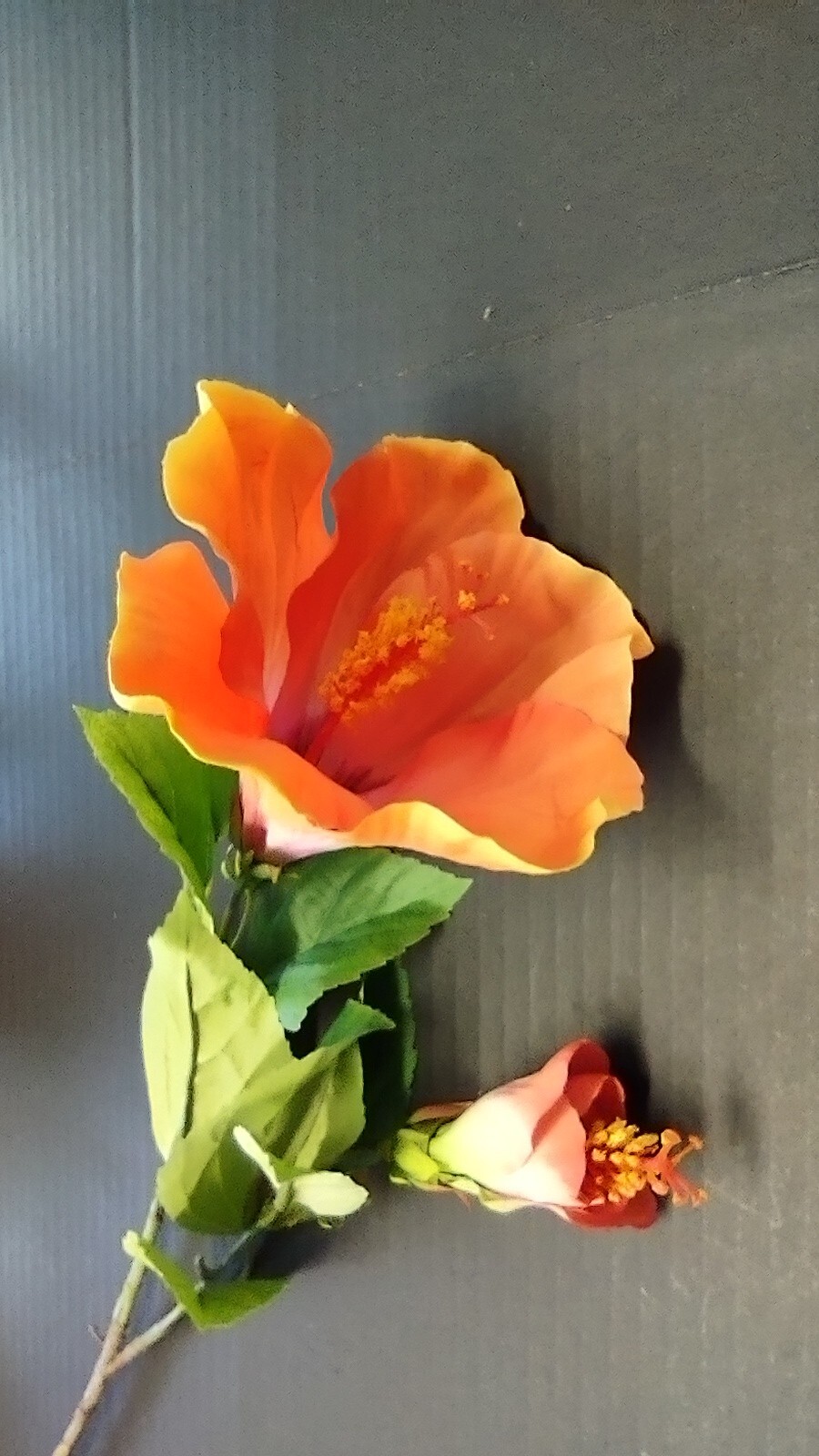 Large Orange Hibiscus stem silk flowers