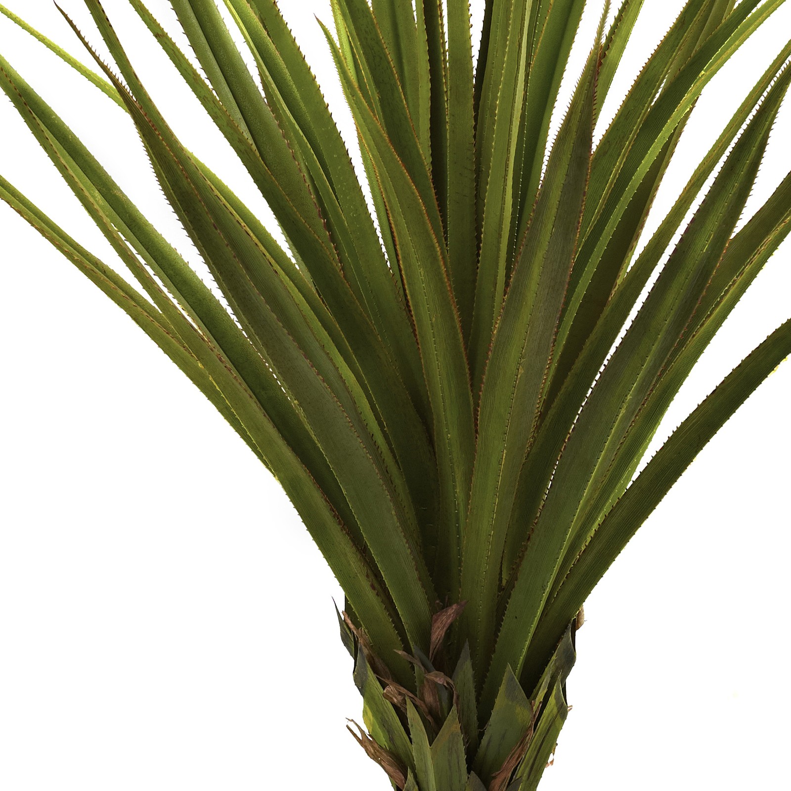 Nearly Natural 5ft Spiked Agave Tree in Green