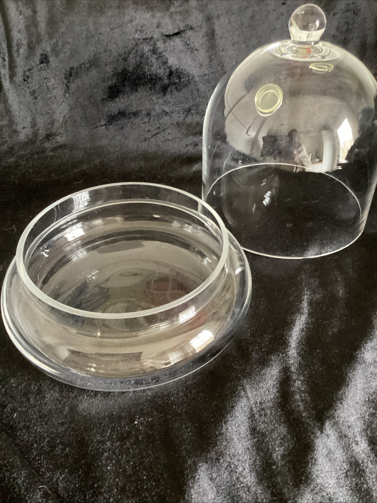 7×7 inches Glass Cloche and Base Small Terrarium with 2 Air Holes Display Case