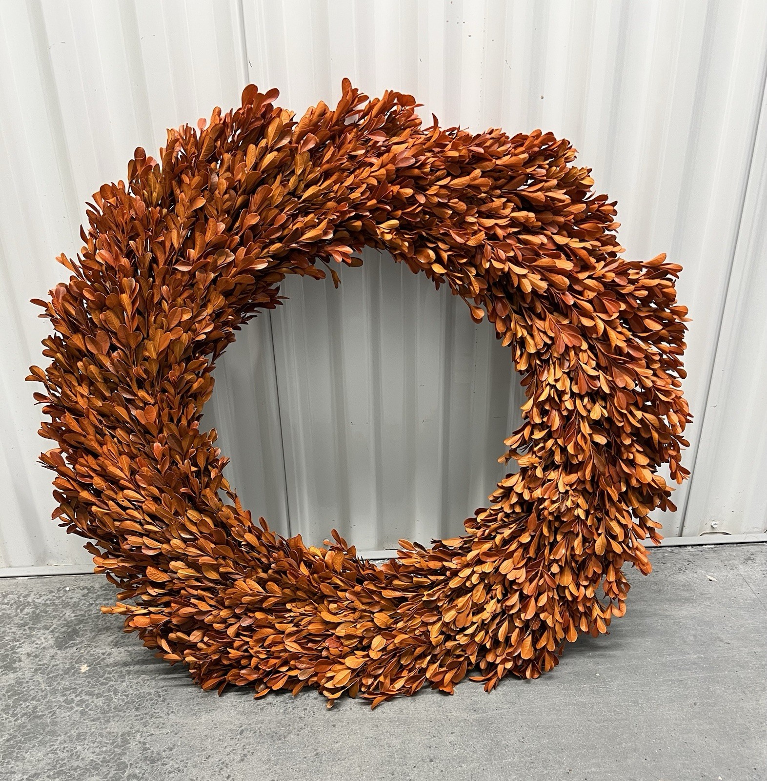 24 Inch Real Preserved Boxwood Natural Wreath Fall Decor Thanksgiving